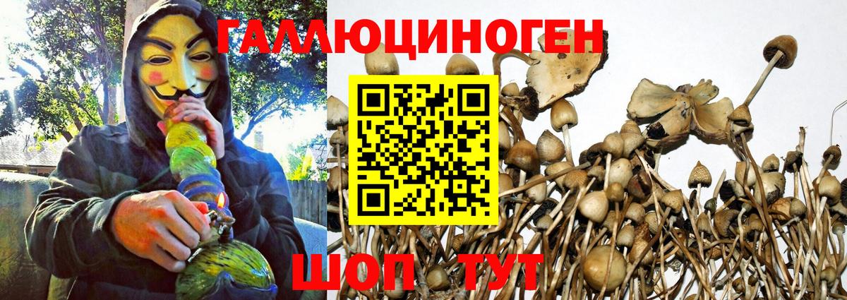 Галлюциногенные грибы GOLDEN TEACHER Киров